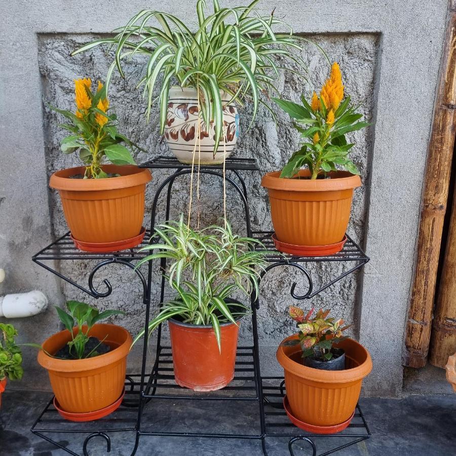 Alohi The Terrace Homestay Tezpur 外观 照片